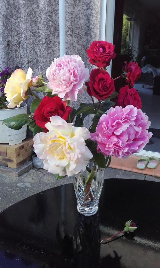Chez Yvette , C'Est Chouette!! Bed & Breakfast Carcassonne Bagian luar foto