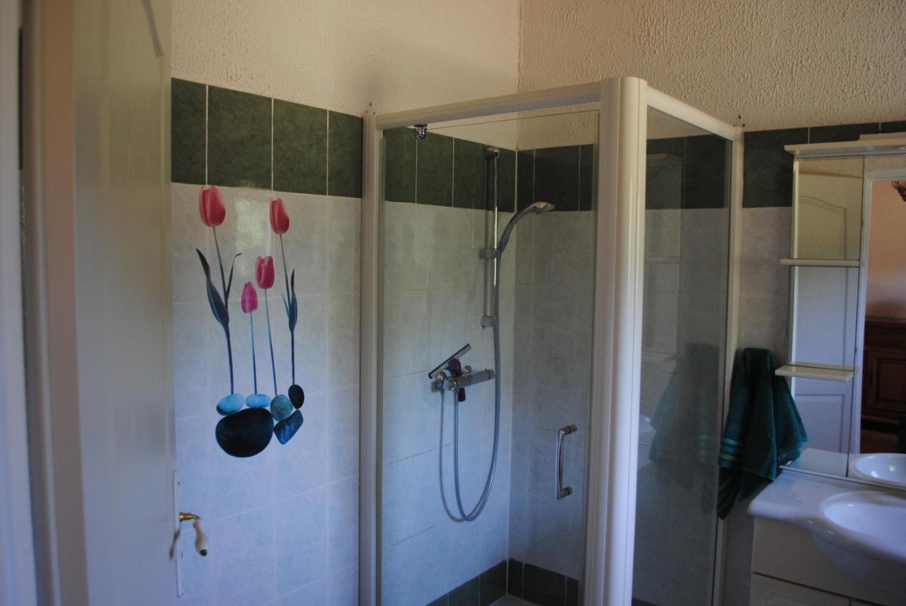 Chez Yvette , C'Est Chouette!! Bed & Breakfast Carcassonne Bagian luar foto