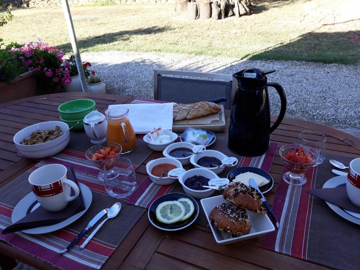 Chez Yvette , C'Est Chouette!! Bed & Breakfast Carcassonne Bagian luar foto