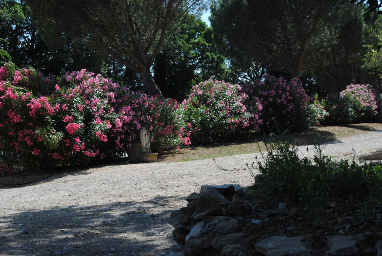 Chez Yvette , C'Est Chouette!! Bed & Breakfast Carcassonne Bagian luar foto