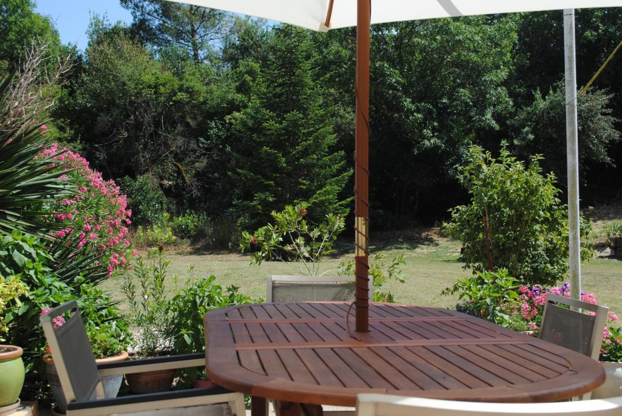 Chez Yvette , C'Est Chouette!! Bed & Breakfast Carcassonne Bagian luar foto