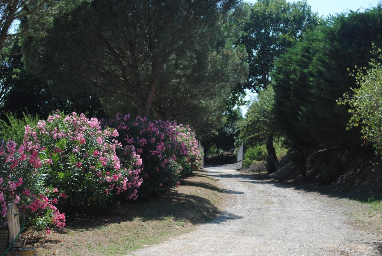 Chez Yvette , C'Est Chouette!! Bed & Breakfast Carcassonne Bagian luar foto
