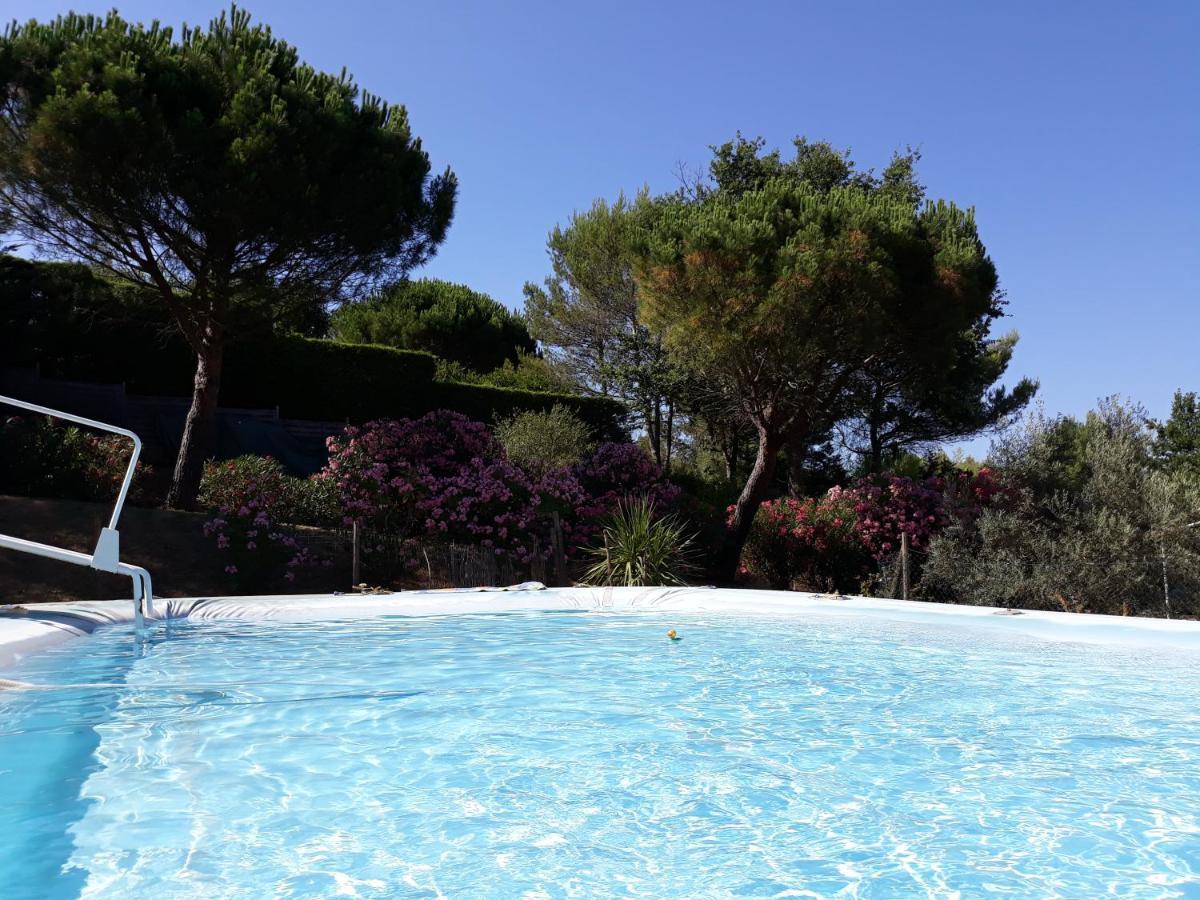 Chez Yvette , C'Est Chouette!! Bed & Breakfast Carcassonne Bagian luar foto